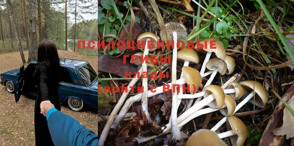 PSILOCYBIN Алексин